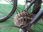 20130425_130926.jpg