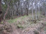 IMG_0249.JPG