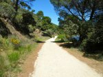 DSCF9708.jpg