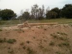 IMG-20130425-WA0001.jpg