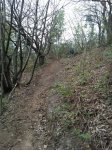 WP_000557.jpg