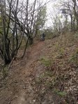 WP_000558.jpg