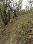WP_000559.jpg