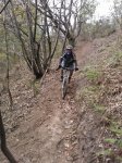 WP_000560.jpg