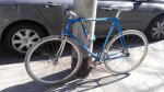 Merckx.jpg