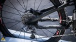 norco-sea-otter-ridotte-2.jpg
