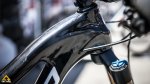 norco-sea-otter-ridotte-8.jpg