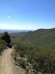 IMG_4478.jpg