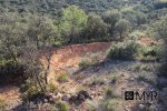 IMG_9029-copia.jpg