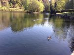 Foto 24-04-13 18 08 54.jpg