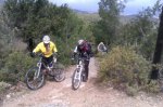 IMAG0840.jpg
