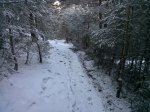 Ruta Cercedilla-Navacerrada-Cercedilla (6).1.jpg