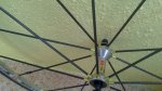 IMG-20130420-WA0004.jpg