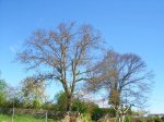 DSCN9134.JPG