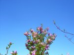 DSCN9135.JPG