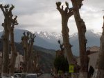IMG_20130428_085341.jpg