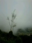 IMG-20130428-WA0033.jpg