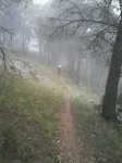 IMG-20130428-WA0036.jpg