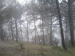 IMG-20130428-WA0037.jpg