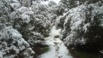 DSC_0185.jpg