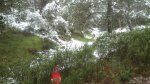 DSC_0186.jpg