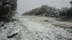 DSC_0187.jpg