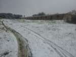 IMG-20130428-WA0002.jpg