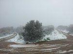 IMG-20130428-WA0005.jpg
