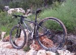 cannondale trail sl2.jpg