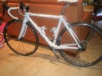 focus carbono 005.JPG