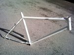 bici2.jpg