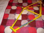 bici9.jpg