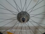 20130429_102505.jpg