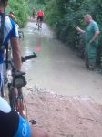 charco2.jpg