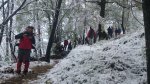 DSC_1152 (Copiar).jpg