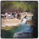 IMG_20130429_065006.jpg