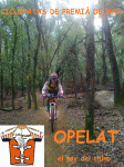 ppelayo poster.gif