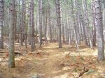 Foto6.JPG