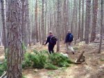 Foto7.JPG