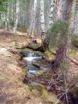Foto9.JPG