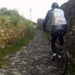 3 Camai&#241;o de arriba (b).jpg