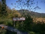 Cornellana 032_opt.jpg