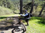 DSCN4174.jpg