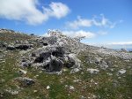DSCN4186.jpg