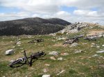 DSCN4188.jpg