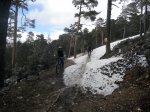 DSCN4203.jpg