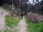 DSCN4220.jpg