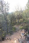 IMG_9035-copia.jpg