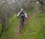 DSCF1190.JPG