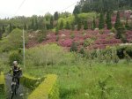 2013-05-01-441.jpg